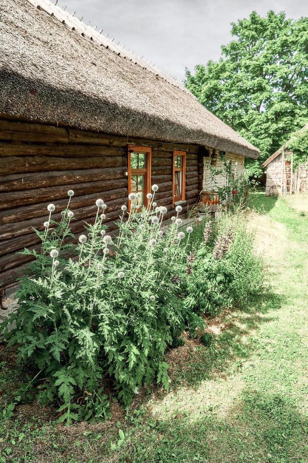 Matsi Cottage Igaküla Exteriör bild